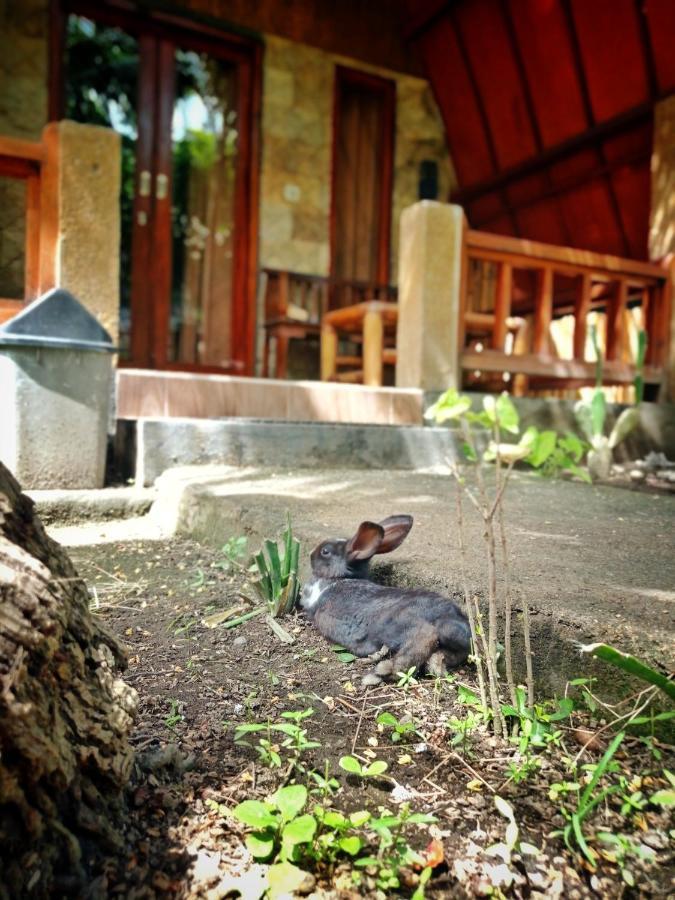 Follow The Rabbit Bungalow Гили-Эйр Экстерьер фото